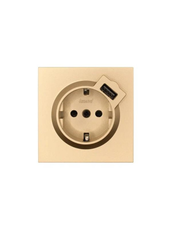 Розетка 1-мест. с/з+USB разъем СП ZIMA IP20 зол.  704-3688-181