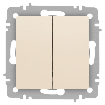 Переключатель Accent 6-107-02 двойн. 10А-250В IP20 СУ AL/CU сл. кость  Б0063558