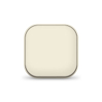 Выключатель 1-кл. 1п ОП 10А IP20 сл. кость  1423