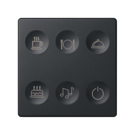 Выключатель сенсорный 6-кл. СП  82 Sense IP20 с тематич. маркир. Т2 графит  8000664-038