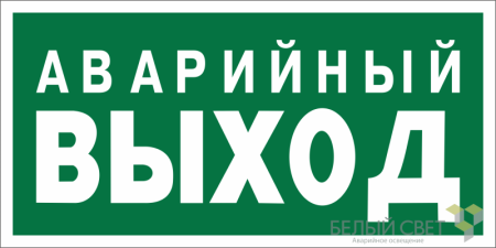 Знак безопасности BL-2010B.E23 "Аварийный выход"  a15042