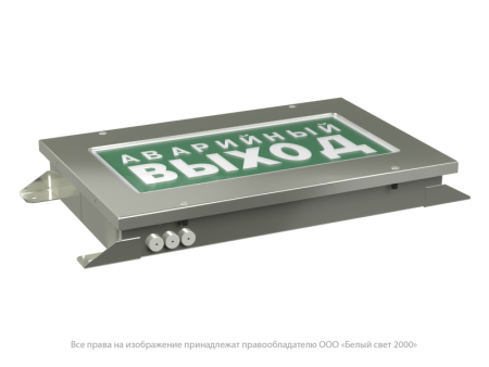 Указатель световой BS-CRUISER-51-S1-INEXI2 ICE20  a24851