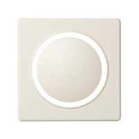 Накладка для светорегулятора 82 сл. кость 82034-31