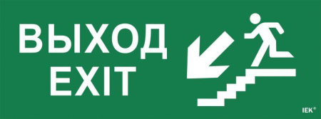 Этикетка самоклеящаяся "Выход/лестница вниз/фигура" ССА 1005  LPC10-1-35-13-VLVNF