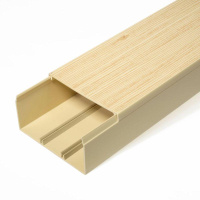 Кабель-канал 100х60 L2000 с двойн. замком сосна  PR.025454