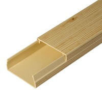 Кабель-канал 40х16 L2000 с двойн. замком сосна  PR03.0184