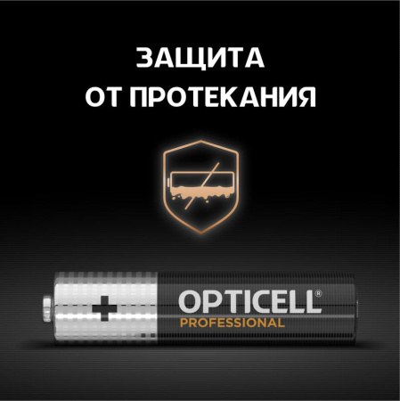 Элемент питания алкалиновый AAA/LR03 (блист. 8шт) Professional  5052008