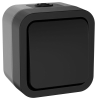 Выключатель кнопочный 1-кл. ОП TORS 10А IP55 TS110 графит  TS-V14-0-10-55-K53