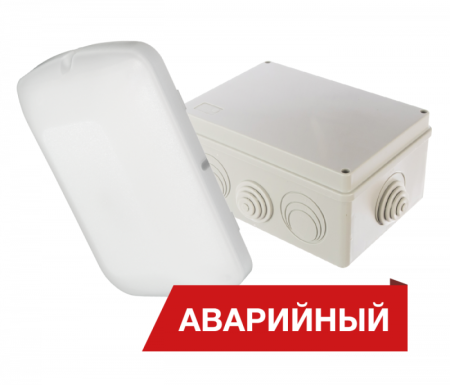 Светильник светодиодный Луна Eco Box 25/2900 25Вт 4000К IP65 2900лм 80Ra Кп<5 аварийный  DLEcoB25-A-4K-A