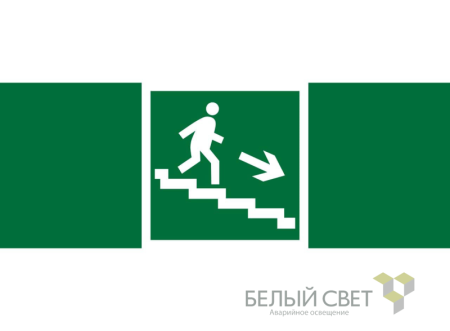 Знак безопасности NPU-3413.E13"Напр. к эвакуац. выходу по лестн. вниз (прав.)"  a16524