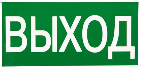 Знак "ВЫХОД" 150х300мм PROxima  an-5-03