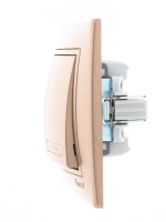 Выключатель 2-кл. СП Mira 10А IP20 со вставкой свет. корич. перламутр.  701-3131-101