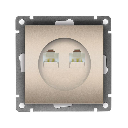 Розетка компьютерная 2-м СП Афина RJ45 кат.5E механизм шампань  A1086-Br