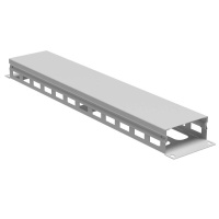 Органайзер кабельный 19дюйм с крышкой и отверстиями 2U глубина 40 мм RAL7035  R5CPF1942HE