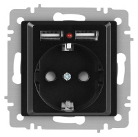 Розетка Accent 6-410-05 P+E Schuko со шторками 16А-250В + 2хUSB IP20 СУ антрацит  Б0063698