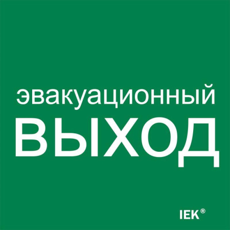 Этикетка самоклеящаяся 150х150мм "Эвакуационный выход"  LPC10-1-15-15-EVV