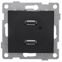 Розетка USB 2-м СП Bravo механизм графит  С10USB2-010