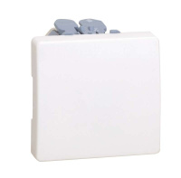 Механизм кнопки клавишной 10А 250В 27 сл. кость 27659-62