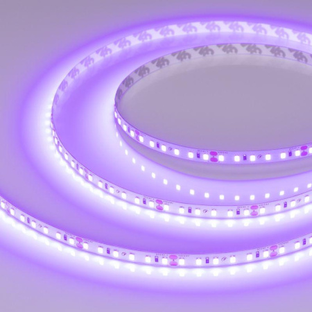 Лента светодиодная RT-A120-8mm 24В Violet (9.6Wm IP20 2835) (уп.5м)  043384