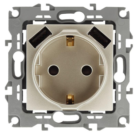 Розетка 16А 250В 2P+E с 2хUSB 5В-3А защ. шторки 12 шампань 12-4109-04 ЭРА Б0047843