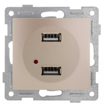 Механизм розетки USB 2-местн. СП Bravo шампань  С10USB2-027