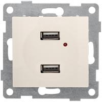 Розетка USB 2-м СП Bravo механизм беж.  С10USB2-003