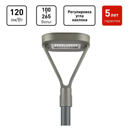 Светильник светодиодный SPP-505-0-50K-050 50Вт 6000лм 5000К IP65 КСС Д садово-парковый сер.  Б0062718