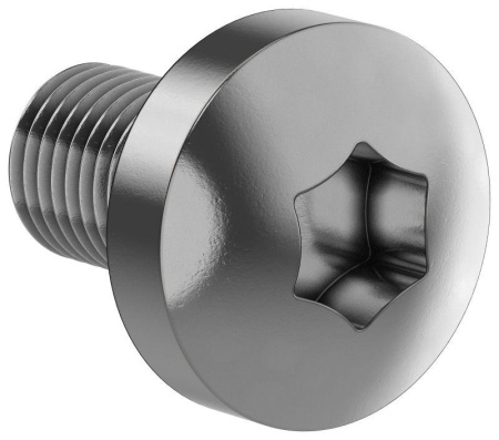 Винт М6х10 TORX30 DIN7500C (уп.500шт) FORMAT  FO-00D-VTORX-M6X10-500
