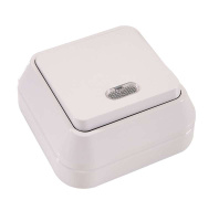 Выключатель 1-кл. ОП 10А IP20 с подсветкой бел.  45121