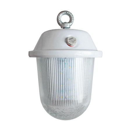 Светильник светодиодный "Желудь" LED-12/Р/3000  17120