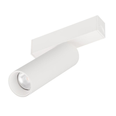 Светильник светодиодный MAG-SPOT-25-R120-12W Day4000 WH 30deg 24В IP20 металл  050076