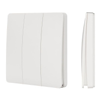 Панель TUYA-228-3-RF-SUF (kinetic 433MHz) (IP67 пластик)  033668