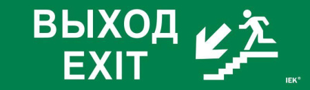Этикетка самоклеящаяся 310х90мм "Выход/лестница вниз/фигура"  LPC10-1-31-09-VLVNF