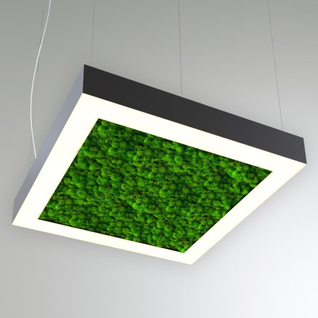 Светильник светодиодный RVE-LBX-MOSS-HOLE-BOX-400-P 35Вт 4000К 400х400х100мм подвесной шир. рассеив.=80мм бел.  RVE00000540