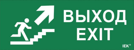 Этикетка самоклеящаяся "Выход/лестница вверх/фигура" ССА 1005  LPC10-1-35-13-VLVVF