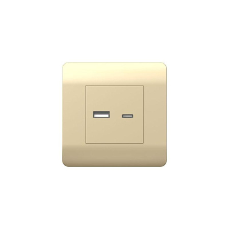 Розетка USB NEW3-E тип A+C 5В/2.1А шампань  431450