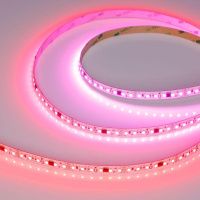 Лента светодиодная SPI-A120-10мм 24В RGB-PX6-BPT (23Вт/м IP20 2835) бегущ. огонь (уп.5м)  046871 Лента светодиодная SPI-A120-10мм 24В RGB-PX6-BPT (23Вт/м IP20 2835) бегущ. огонь (уп.5м)  046871