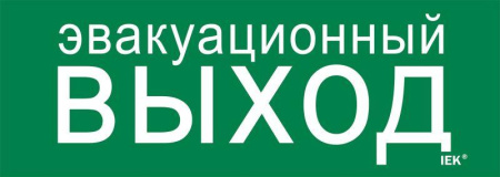 Этикетка самоклеящаяся 280х100мм "Эвакуационный выход"  LPC10-1-28-10-EVV