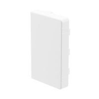 Заглушка для кабель-канала LAN 100х60  00874