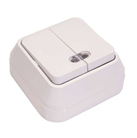 Выключатель 2-кл. ОП 10А IP20 с подсветкой бел.  45123