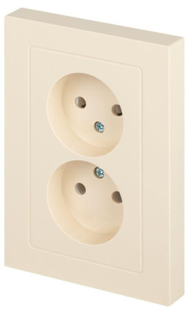 Розетка Accent 6-204-02 2х2P 16А-250В IP20 СУ AL/CU сл. кость  Б0063474