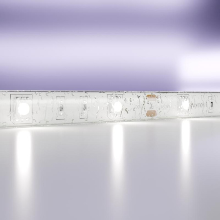 Лента светодиодная 12В 5050 7.2Вт/м 6000К IP65 (уп.5м)  10125