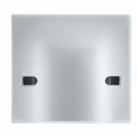 Вывод кабельный 45А с нерасплавляющейся лицев. панелью Axolute алюм. Leg BTC HC4955/45 Вывод кабельный 45А с нерасплавляющейся лицев. панелью Axolute алюм. Leg BTC HC4955/45