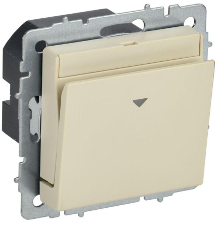 Выключатель карточный BRITE 30А ВС10-1-8-БрКр механизм беж.  BR-V11-0-10-K10