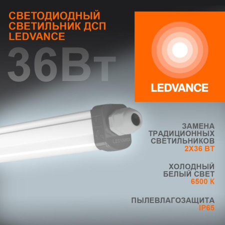 Светильник светодиодный Eco Class Damp Proof Slim 36Вт 6500К IP65 3700лм 1.2м ДСП промышленный накладной/подвесной сер. (аналог ЛСП)  4058075169104