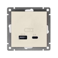 Розетка 2-м USB СП Афина тип А+С 5В 1х2.4А 2х4А механизм слон. кость (ivory)  А0059-I
