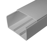 Кабель-канал 100х60 L2000 с двойн. замком RAL 7035 сер.  PR03.0082