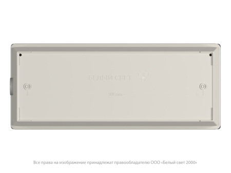 Светильник аварийный BS-METEORIT-10-L5-LED 4000К DD01 Белый Свет a30284