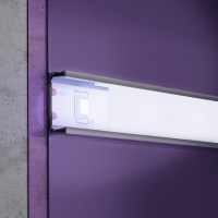 Лента светодиодная 12В 2835 4.8Вт/м 6000К IP20 (уп.5м)  10104