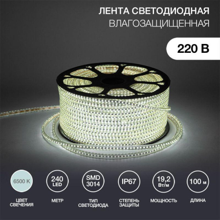 Лента светодиодная SMD3014 6.5x15мм 240LED/м 220В IP67 бел. (уп.100м)  142-803
